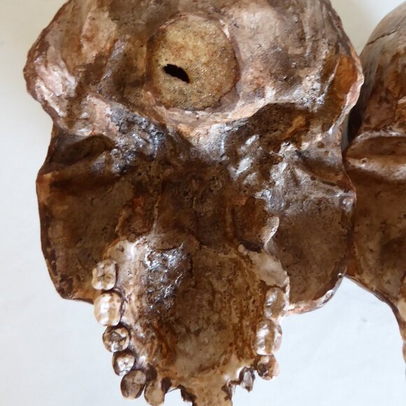 NEW ARTISAN HANDCRAFTED REALISTIC LIFE SIZE HUMAN SKULLS HALLOWEEN PROP ODDITY - Picture 14 of 16